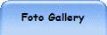 Foto Gallery
